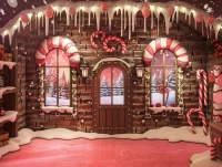 red , pink , white , brown backdrop for photography gingerbread entry i