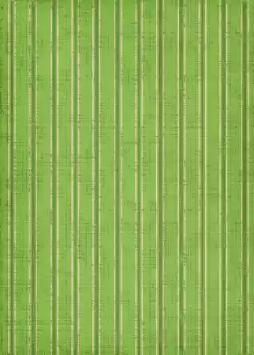 Green Pattern Photography Backdrop photo of Mason Photography Backdrop