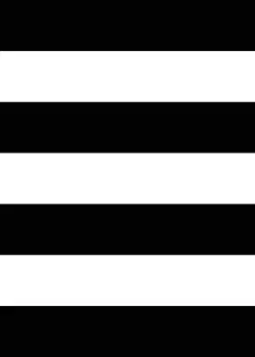 White Pattern Photography Backdrop photo of Davis Stripes Photography Backdrop