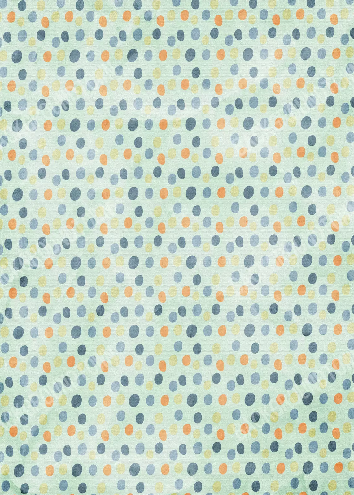 photo of Stevie Photography Backdrop