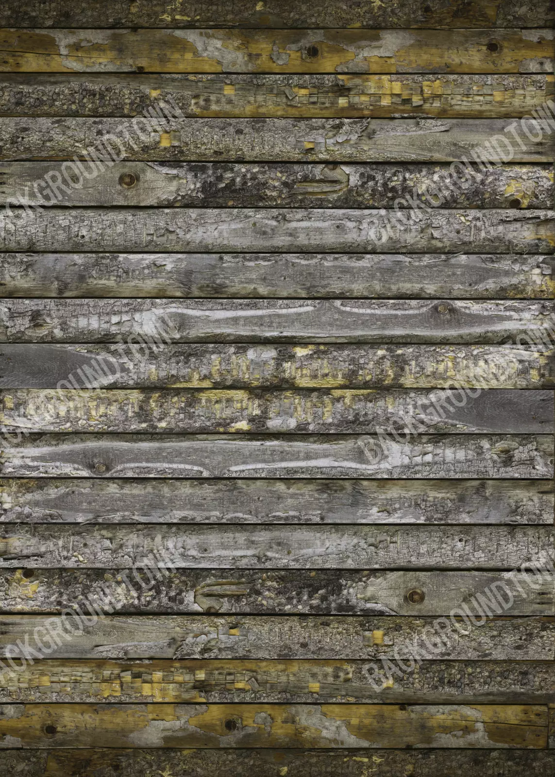 photo of Shipmate Photography Backdrop